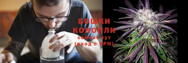 spice Гусев