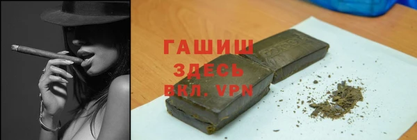 гидра Гусиноозёрск