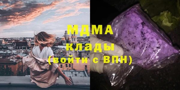 spice Гусев