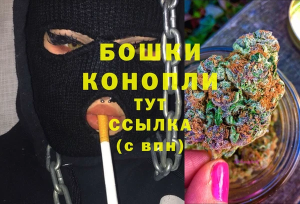 spice Гусев
