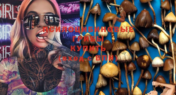 spice Гусев