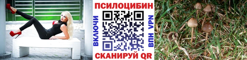 как найти закладки Новочебоксарск Галлюциногенные грибы мухоморы